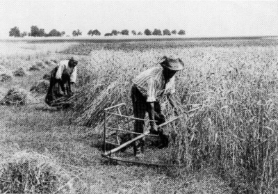 moisson
